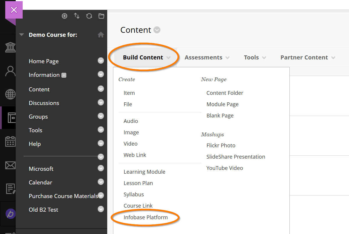 BLACKBOARD INFOBASE visual data 5